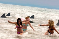 Нападение акул в весенние каникулы