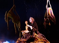 Цирк дю Солей: сказочный мир